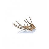 HS Aqua Producten | Alles voor een Gezond & Helder Aquarium Talawa Hout HS Aqua Producten | Alles voor een Gezond & Helder Aquarium Talawa Hout