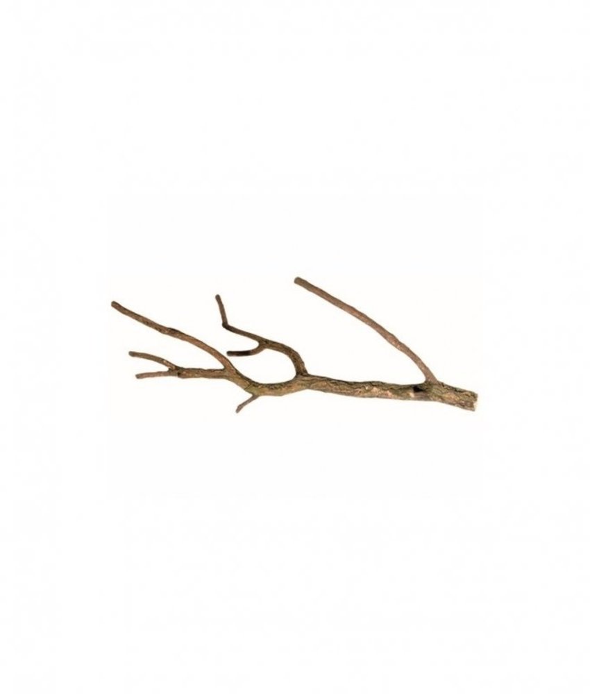 HS Aqua Producten | Alles voor een Gezond & Helder Aquarium Talawa Hout HS Aqua Producten | Alles voor een Gezond & Helder Aquarium Talawa Hout
