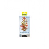 Tetra Tetra decoart ludwigia