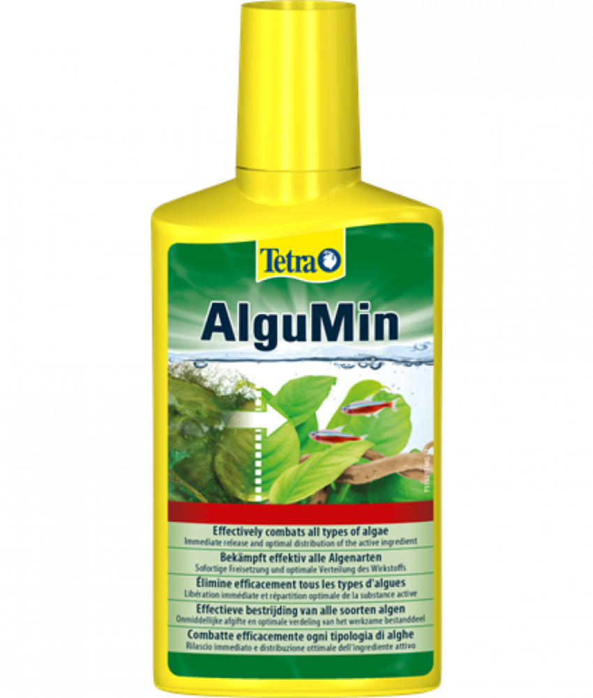 Tetra Tetra algumin Tetra Tetra algumin