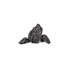 HS Aqua Producten | Alles voor een Gezond & Helder Aquarium Aquarium steen Dark Night Rock HS Aqua Producten | Alles voor een Gezond & Helder Aquarium Aquarium steen Dark Night Rock