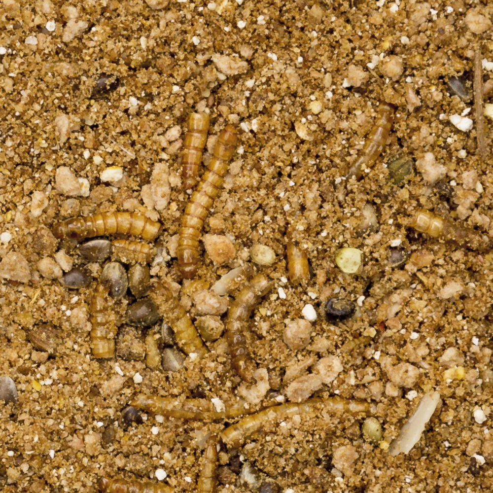 Beaphar BEAPHAR EGELVOER 1KG