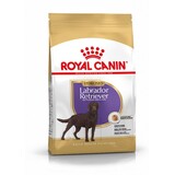 Royal Canin Royal Canin Labrador Retriever Sterilised Adult 3KG Royal Canin Royal Canin Labrador Retriever Sterilised Adult 3KG