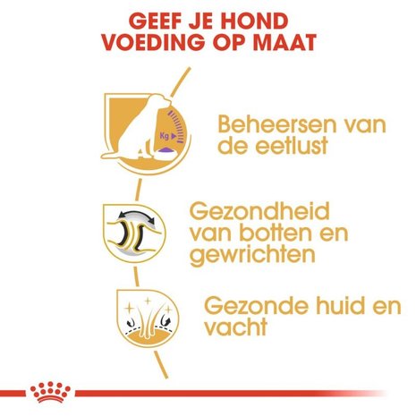 Royal Canin Royal Canin Labrador Retriever Sterilised Adult 3KG Royal Canin Royal Canin Labrador Retriever Sterilised Adult 3KG