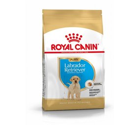 Royal Canin Royal Canin Labrador Retriever Puppy Royal Canin Royal Canin Labrador Retriever Puppy