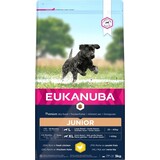 Eukanuba Eukanuba Dog Developing Junior Large Breed Eukanuba Eukanuba Dog Developing Junior Large Breed