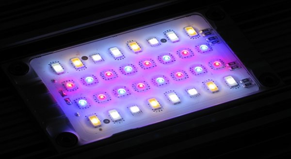 Daytime Daytime Matrix Module Daytime Daytime Matrix Module
