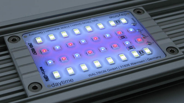 Daytime Daytime Matrix Module Daytime Daytime Matrix Module