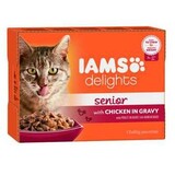 Iams Iams Delights Senior Gravy 12 st Iams Iams Delights Senior Gravy 12 st