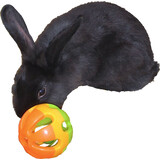 de Boon KNAAGDIER SPEELBALBEL  7.5CM