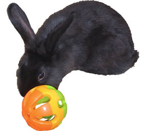 de Boon KNAAGDIER SPEELBALBEL  7.5CM