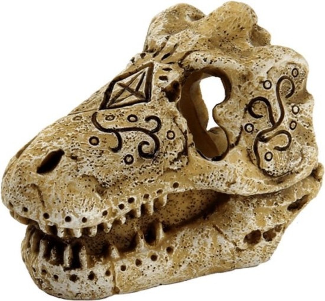 Superfish SF DECO SKULL TRICERATOPS ST REX Superfish SF DECO SKULL TRICERATOPS ST REX