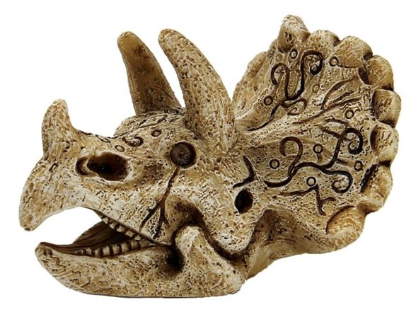 Superfish SF DECO SKULL TRICERATOPS S Superfish SF DECO SKULL TRICERATOPS S