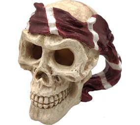 Superfish SF DECO SKULL RED PIRATE Superfish SF DECO SKULL RED PIRATE