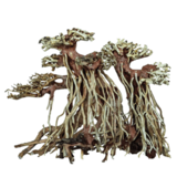 Superfish SF DECO BONSAI TWIN TREE LARGE