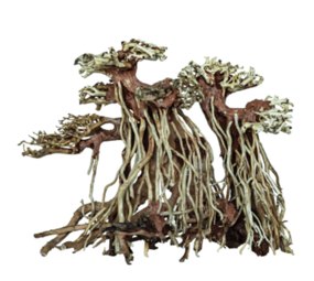 Superfish SF DECO BONSAI TWIN TREE LARGE Superfish SF DECO BONSAI TWIN TREE LARGE