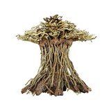 Superfish SF DECO BONSAI MUSHROOM MEDIUM Superfish SF DECO BONSAI MUSHROOM MEDIUM