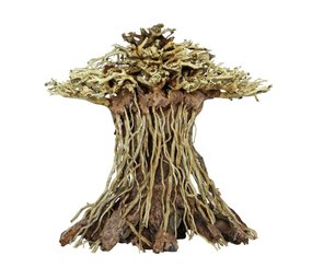 Superfish SF DECO BONSAI MUSHROOM MEDIUM Superfish SF DECO BONSAI MUSHROOM MEDIUM