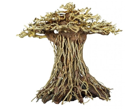 Superfish SF DECO BONSAI MUSHROOM MEDIUM Superfish SF DECO BONSAI MUSHROOM MEDIUM
