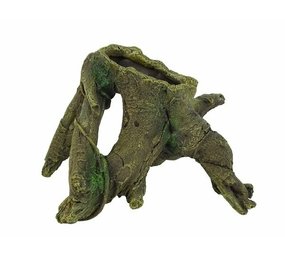 Blue Belle Pacific BLUE BELLE PACIFIC TRUNK RIVER Blue Belle Pacific BLUE BELLE PACIFIC TRUNK RIVER