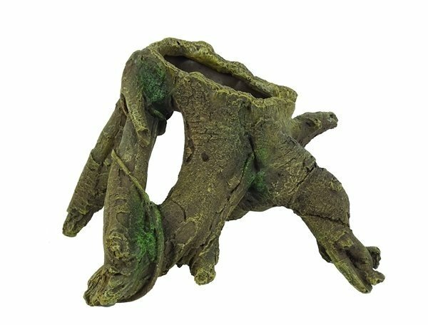 Blue Belle Pacific BLUE BELLE PACIFIC TRUNK RIVER Blue Belle Pacific BLUE BELLE PACIFIC TRUNK RIVER