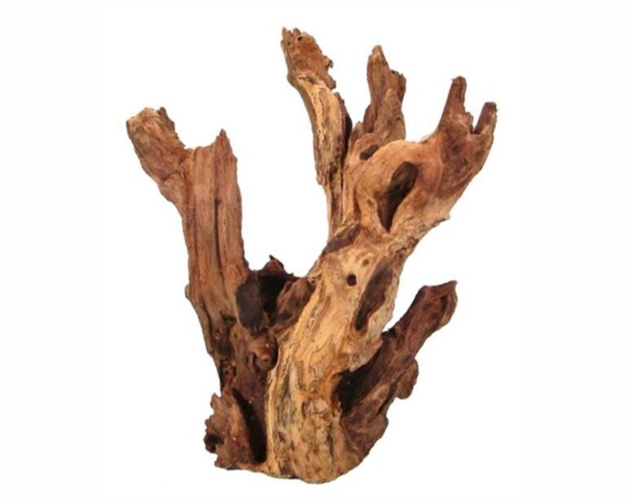 HS Aqua Producten | Alles voor een Gezond & Helder Aquarium KAYIKA WOOD