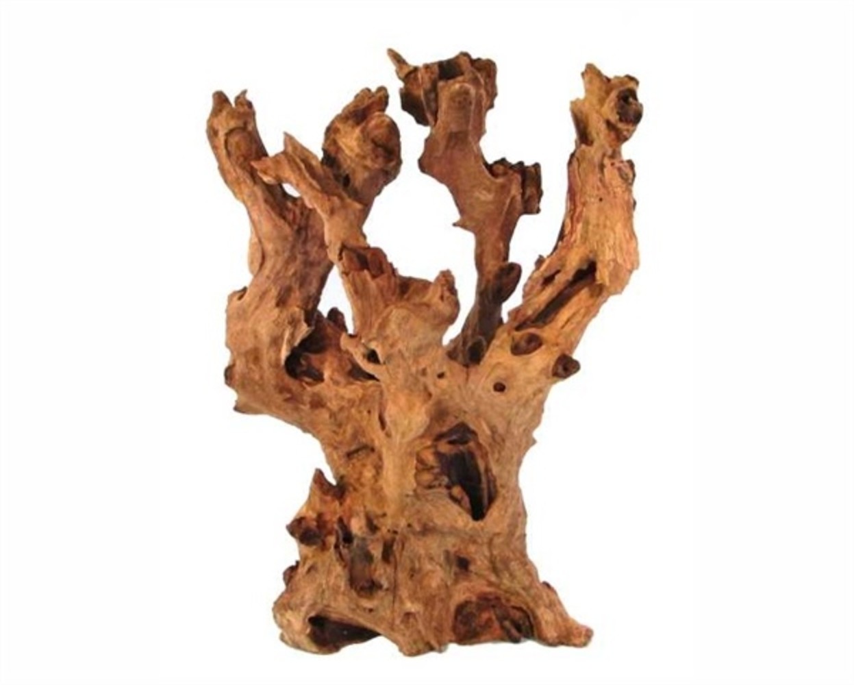 HS Aqua Producten | Alles voor een Gezond & Helder Aquarium KAYIKA WOOD