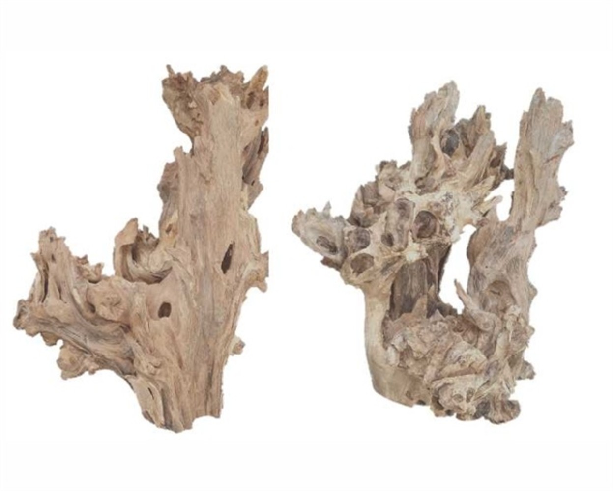 HS Aqua Producten | Alles voor een Gezond & Helder Aquarium KAYIKA WOOD