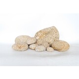 HS Aqua Producten | Alles voor een Gezond & Helder Aquarium AQUA.STEEN TAMAGO ROCK M