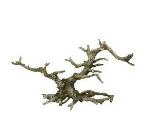 Aqua Della BONSAI GREY