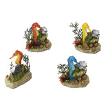 Aqua Della ZEEPAARD MET PLANT