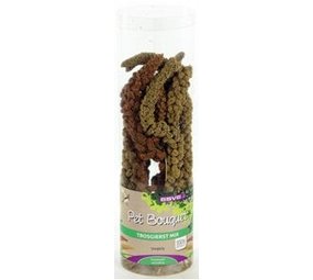 Tijssen PET BOUQUET KOKER TROSGIERST Tijssen PET BOUQUET KOKER TROSGIERST