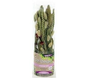 Tijssen PET BOUQUET KOKER HABITAT Tijssen PET BOUQUET KOKER HABITAT