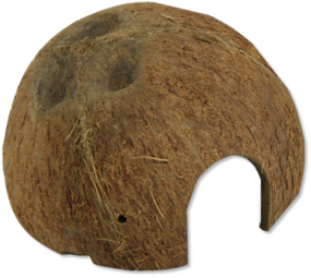 JBL JBL COCOS CAVA 1/2 LARGE JBL JBL COCOS CAVA 1/2 LARGE