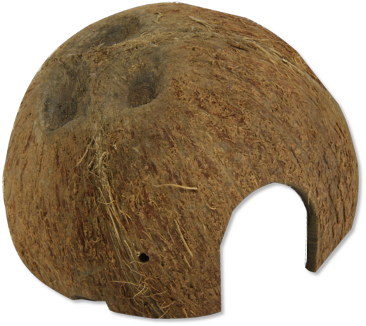 JBL JBL COCOS CAVA 1/2 LARGE JBL JBL COCOS CAVA 1/2 LARGE