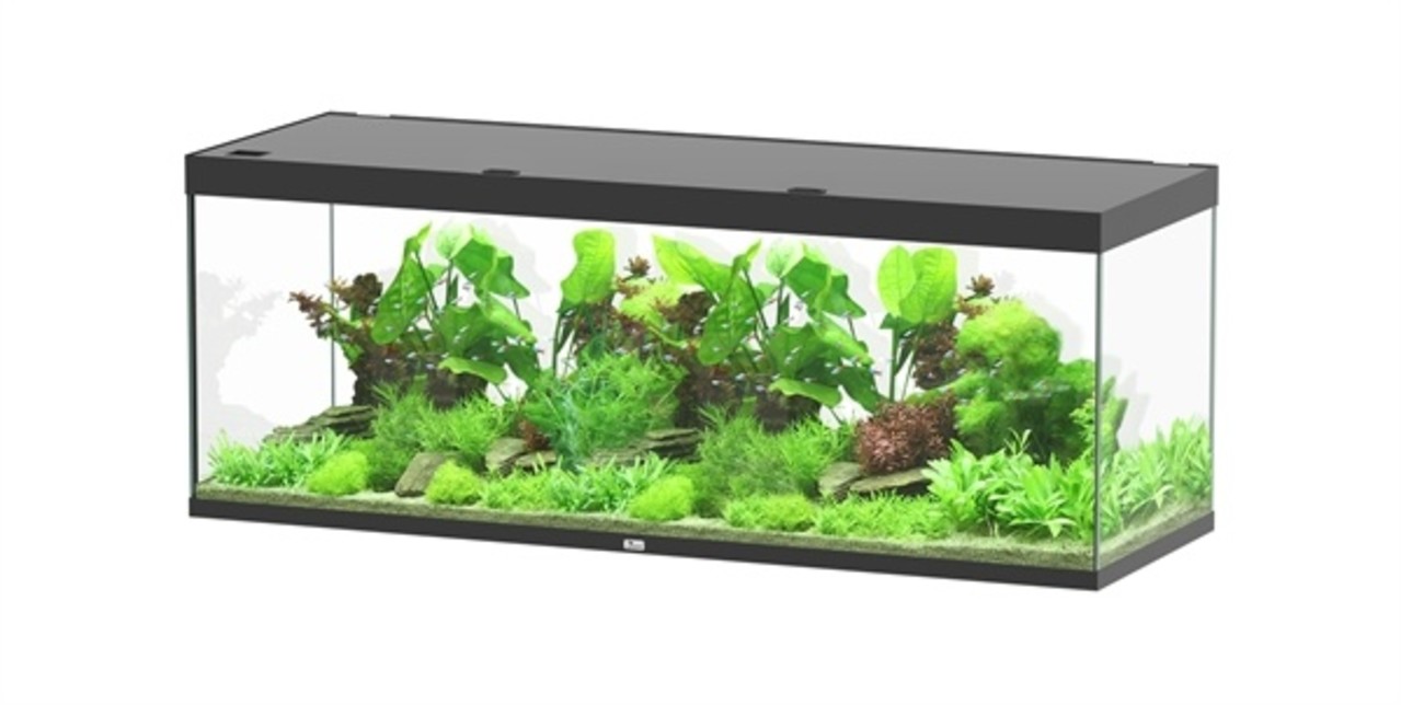Aquatlantis Aquatlantis Aquarium Sublime 200x70 Cm Aquatlantis Aquatlantis Aquarium Sublime 200x70 Cm