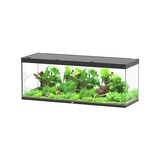 Aquatlantis Aquatlantis Aquarium Sublime 200x70 Cm Aquatlantis Aquatlantis Aquarium Sublime 200x70 Cm