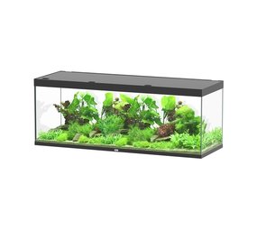 Aquatlantis Aquatlantis Aquarium Sublime 200x70 Cm Aquatlantis Aquatlantis Aquarium Sublime 200x70 Cm