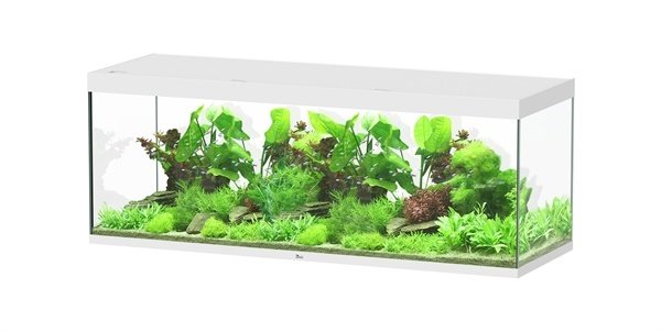 Aquatlantis Aquatlantis Aquarium Sublime 200x70 Cm Aquatlantis Aquatlantis Aquarium Sublime 200x70 Cm