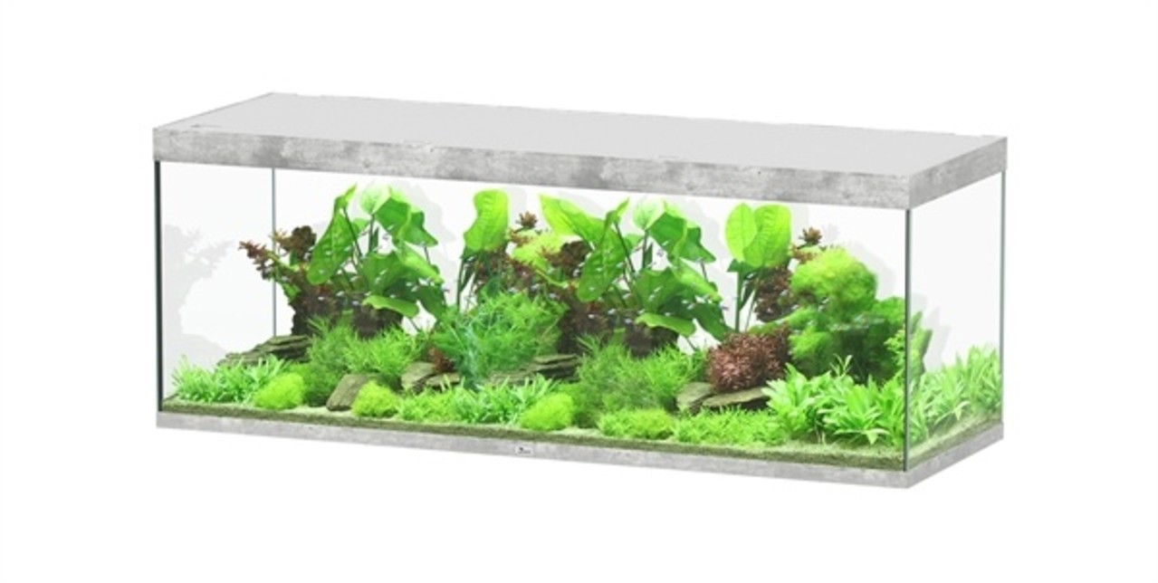 Aquatlantis Aquatlantis Aquarium Sublime 200x70 Cm Aquatlantis Aquatlantis Aquarium Sublime 200x70 Cm
