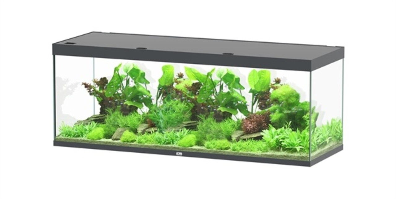 Aquatlantis Aquatlantis Aquarium Sublime 200x70 Cm Aquatlantis Aquatlantis Aquarium Sublime 200x70 Cm