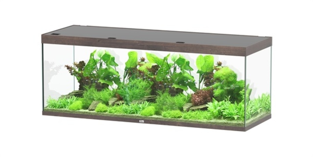 Aquatlantis Aquatlantis Aquarium Sublime 200x70 Cm Aquatlantis Aquatlantis Aquarium Sublime 200x70 Cm