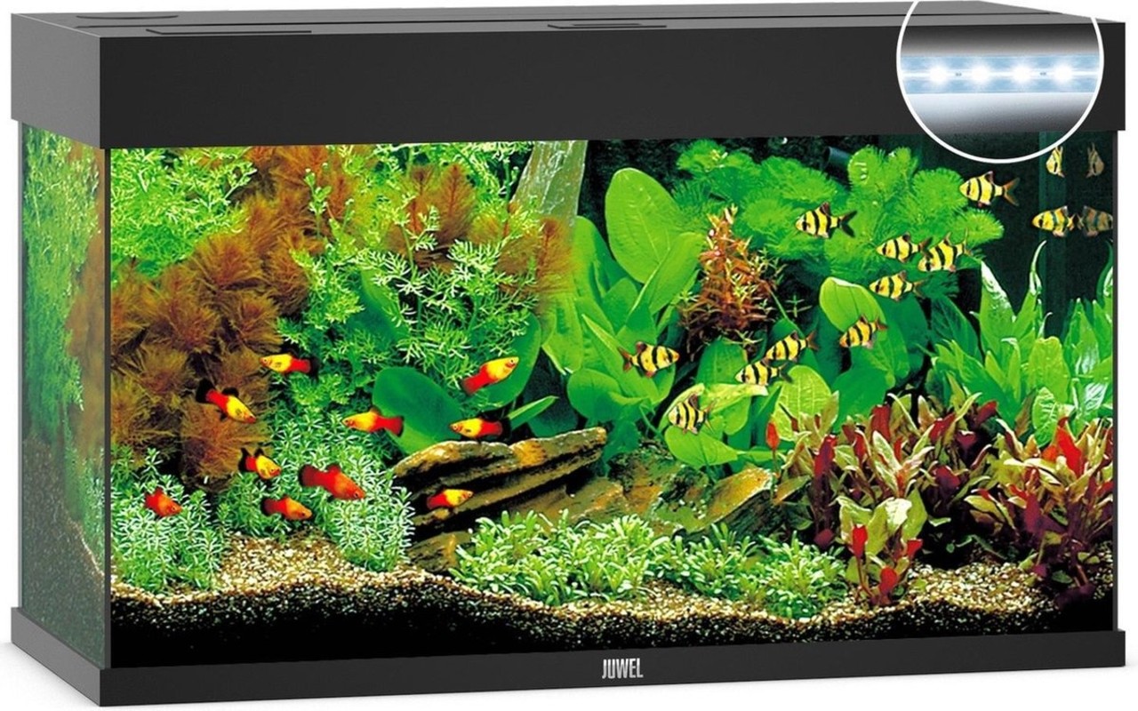 Juwel Juwel Aquarium Rio 125 Led filter 80x35x50 Cm Juwel Juwel Aquarium Rio 125 Led filter 80x35x50 Cm