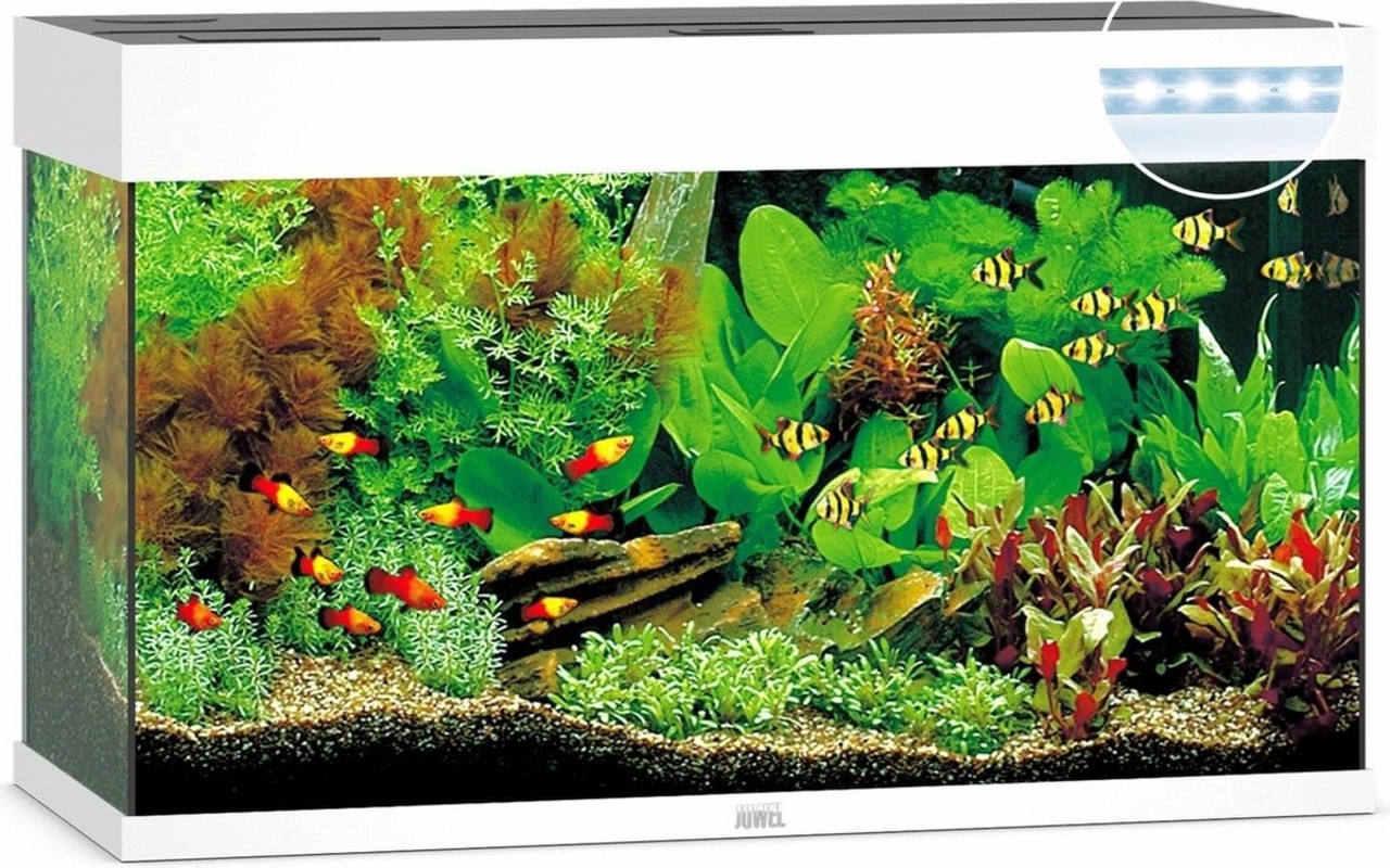 Juwel Juwel Aquarium Rio 125 Led filter 80x35x50 Cm Juwel Juwel Aquarium Rio 125 Led filter 80x35x50 Cm