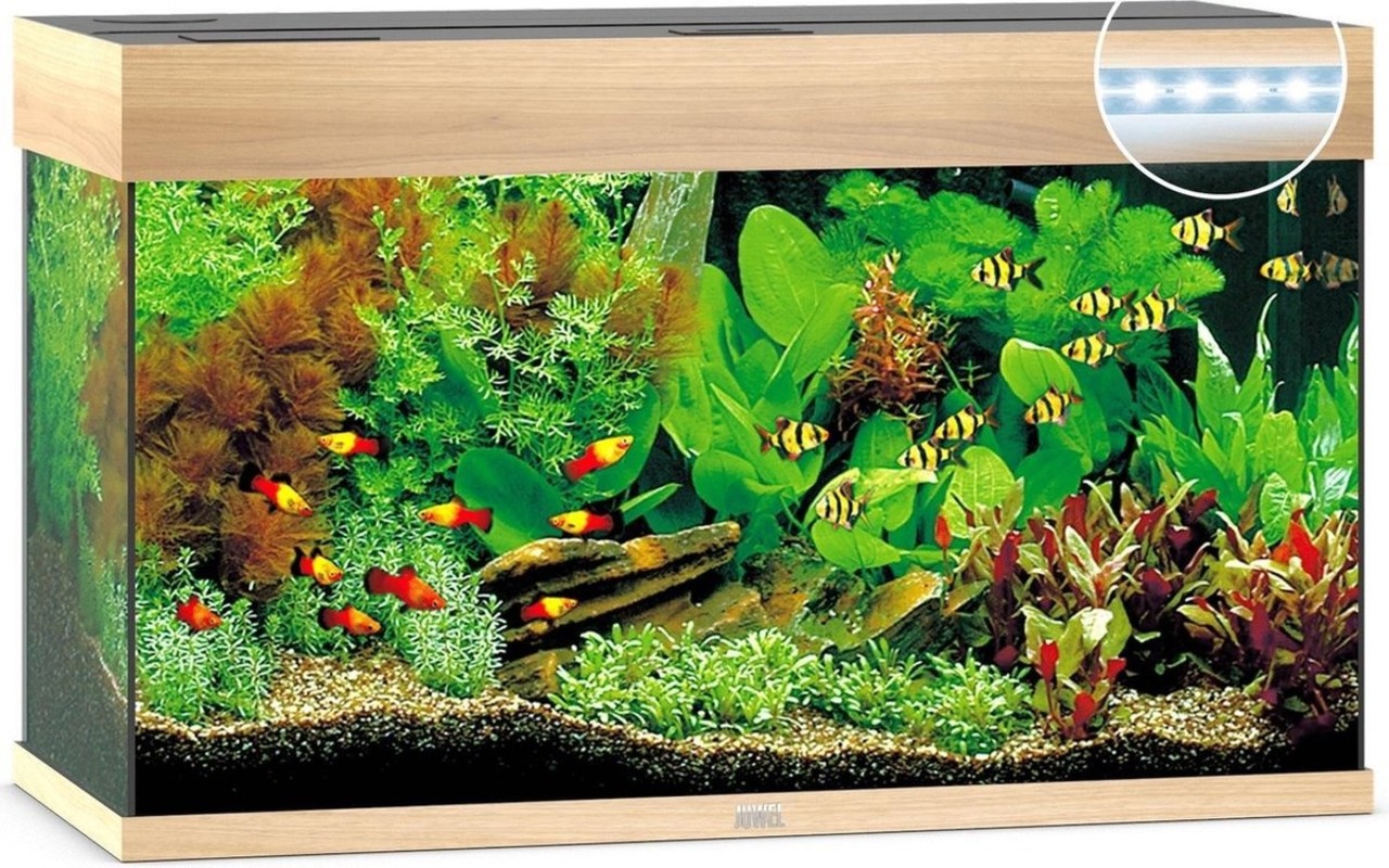 Juwel Juwel Aquarium Rio 125 Led filter 80x35x50 Cm Juwel Juwel Aquarium Rio 125 Led filter 80x35x50 Cm