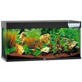 Juwel Juwel Aquarium Rio 240 Led filter 121 x 41 x 55 cm Juwel Juwel Aquarium Rio 240 Led filter 121 x 41 x 55 cm