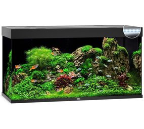 Juwel Juwel Aquarium Rio 350 Led filter 121 x 51 x 66 cm Juwel Juwel Aquarium Rio 350 Led filter 121 x 51 x 66 cm