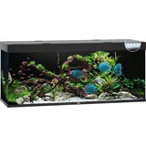 Juwel Juwel Aquarium Rio 450 Led filter 151 x 51 x 66 cm