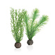 Biorb BIORB MANNETJESVAREN SET S GROEN Biorb BIORB MANNETJESVAREN SET S GROEN
