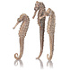 Biorb BIORB ZEEPAARD SET 3 NATUREL Biorb BIORB ZEEPAARD SET 3 NATUREL